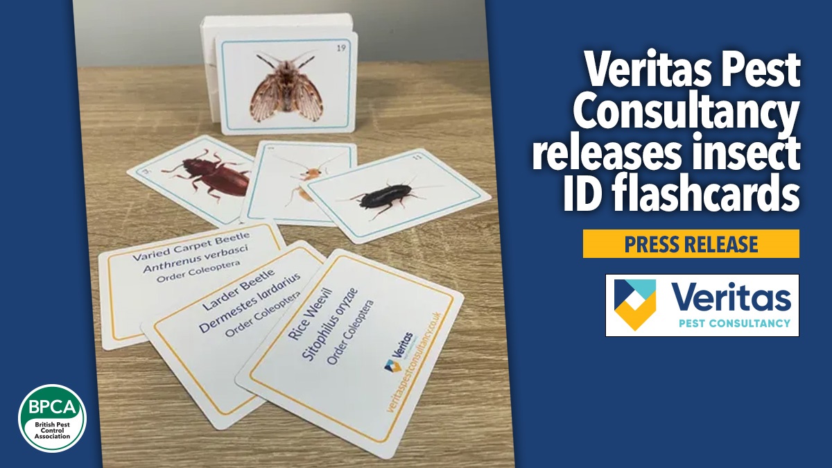 veritas-insect-id-flashcards-hero veritas-insect-id-flashcards-hero